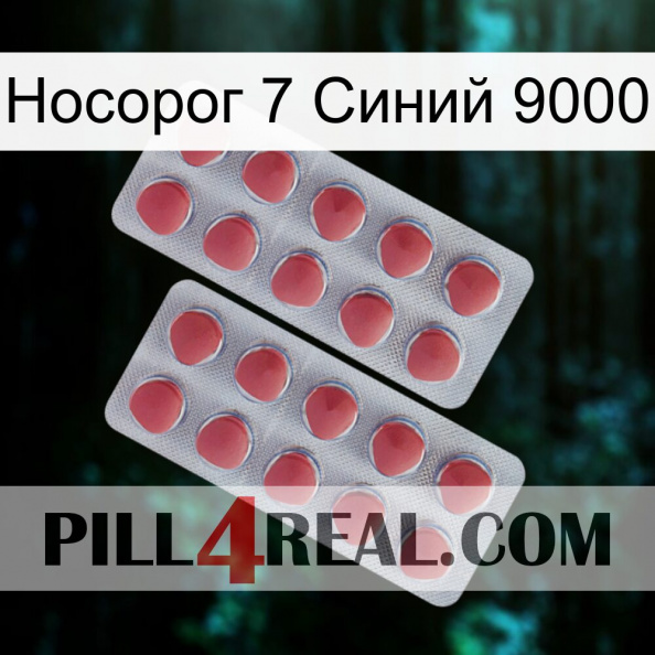 Носорог 7 Синий 9000 19.jpg